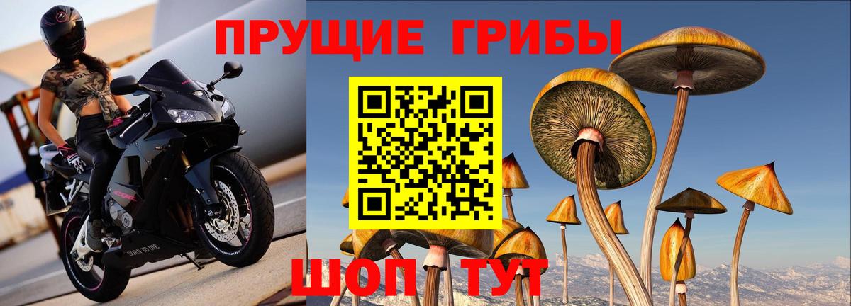 Псилоцибиновые грибы ЛСД Бирск